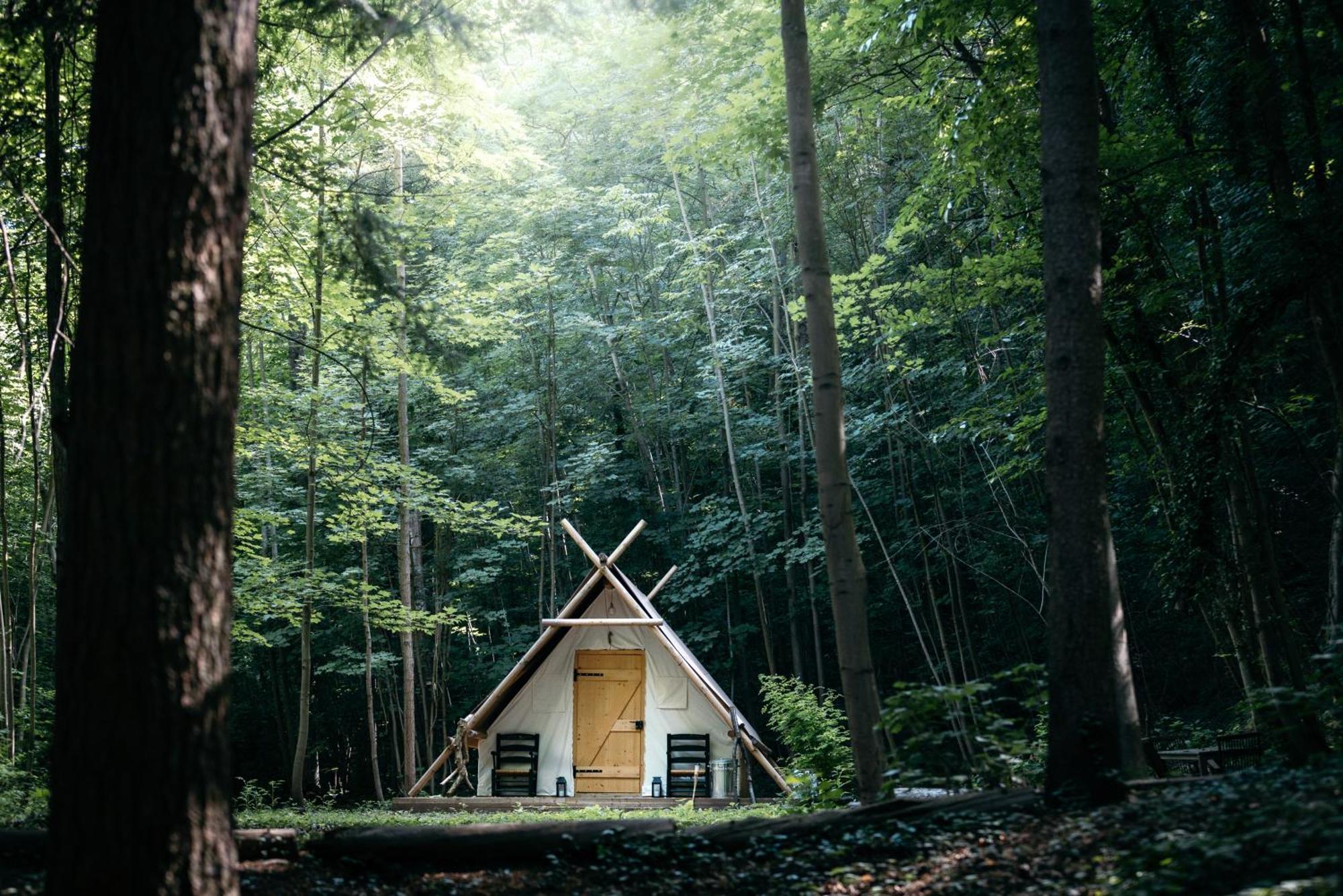 La Cabane De La Saone, Lyon Country House Калюир-Э-Кюир Экстерьер фото